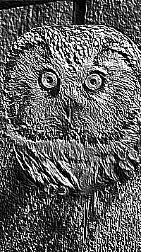 Skamielina