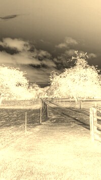 Sepia + Negatyw