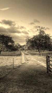 Szary + Sepia