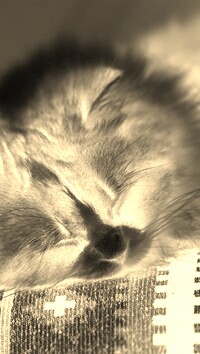 Sepia + Negatyw