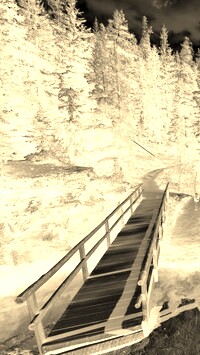 Sepia + Negatyw