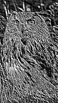 Skamielina