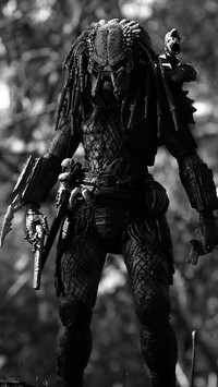 Szary