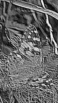 Skamielina