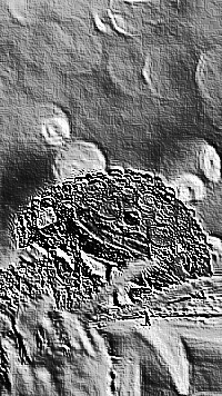 Skamielina