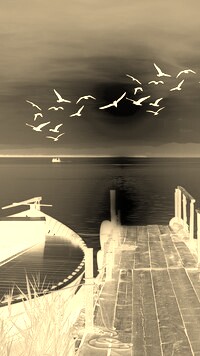 Sepia + Negatyw