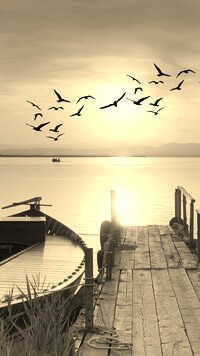 Sepia