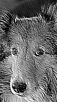 Skamielina