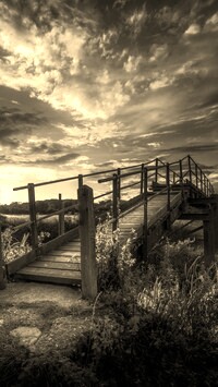 Szary + Sepia