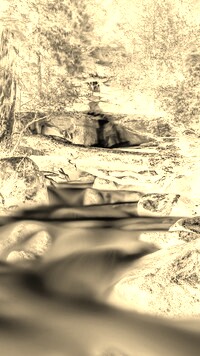 Sepia + Negatyw