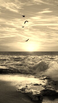 Sepia