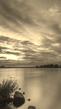 Szary + Sepia