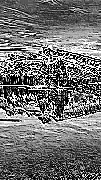 Skamielina
