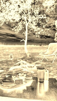 Sepia + Negatyw