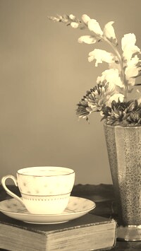 Szary + Sepia