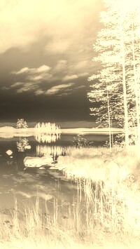 Sepia + Negatyw