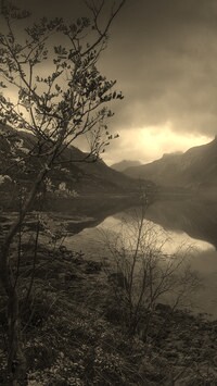 Sepia