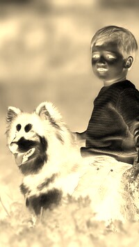 Sepia + Negatyw