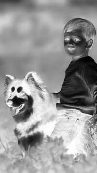Szary + Negatyw