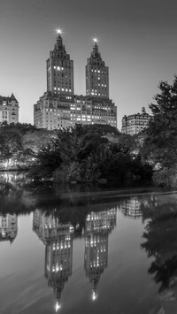 Szary