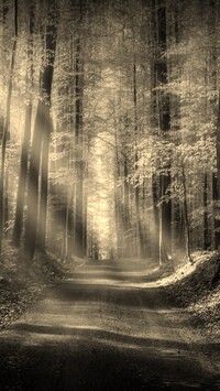 Szary + Sepia