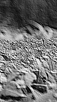 Skamielina