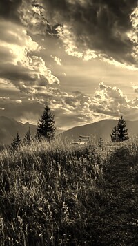 Sepia