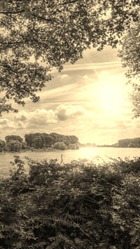 Szary + Sepia