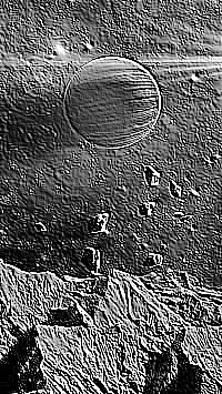 Skamielina