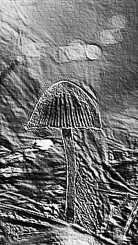 Skamielina