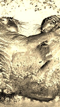 Sepia + Negatyw