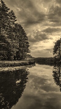 Szary + Sepia