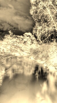 Sepia + Negatyw