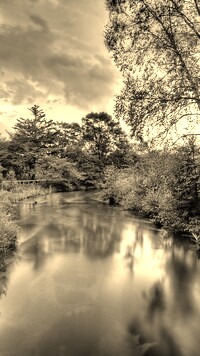 Szary + Sepia