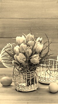 Szary + Sepia
