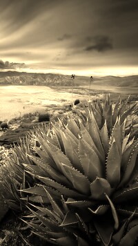 Sepia