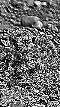 Skamielina