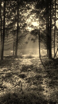 Szary + Sepia
