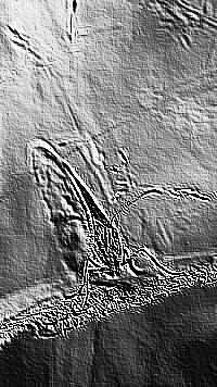 Skamielina