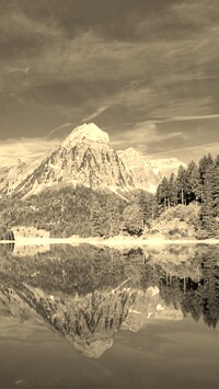 Szary + Sepia