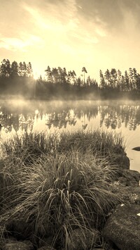 Szary + Sepia