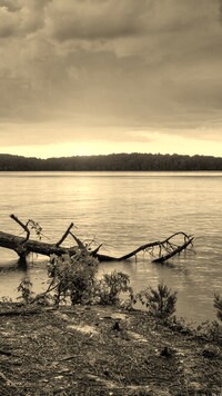 Sepia