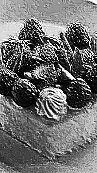 Skamielina