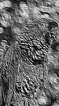 Skamielina