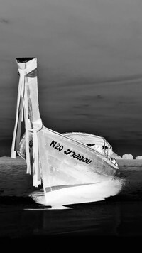 Szary + Negatyw