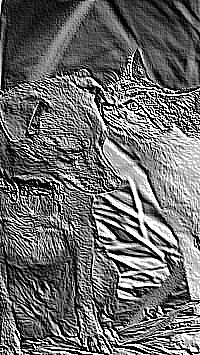 Skamielina