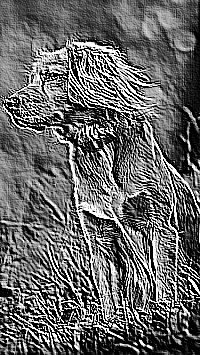 Skamielina