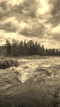 Szary + Sepia