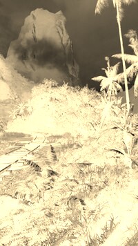 Sepia + Negatyw