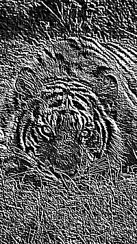 Skamielina